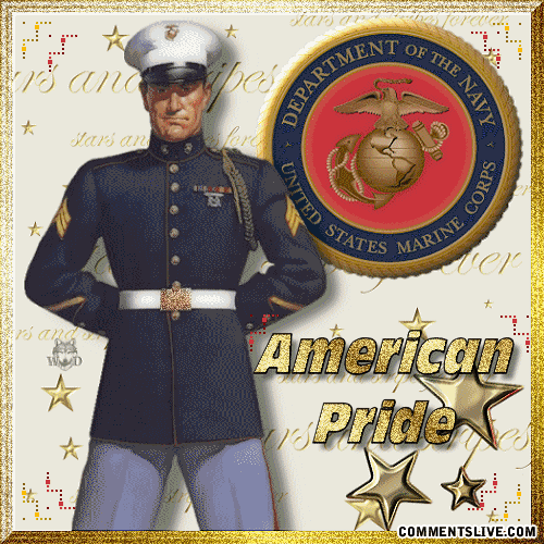 Navy American Pride Picture