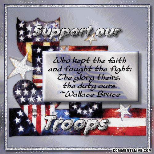 Support Our Troops picture