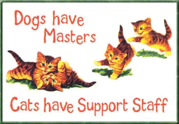 Dog Master Cat Support Picture