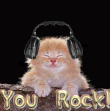 Kitty You Rock