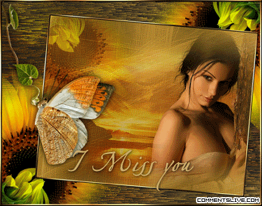 Sunflower Miss You Picture