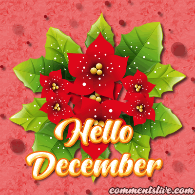 December Hello picture