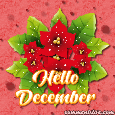 December Hello Picture