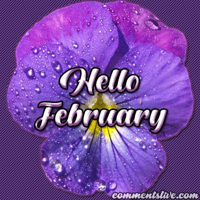 February Hello picture