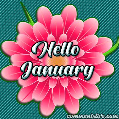 January Hello Picture