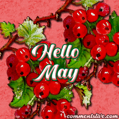 May Hello picture