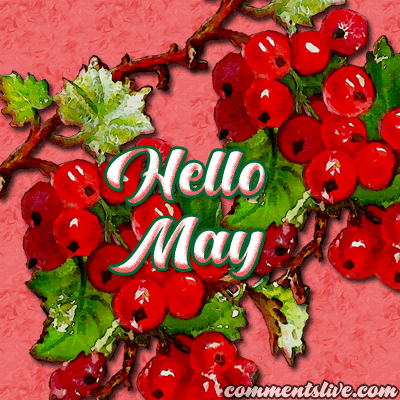 May Hello Picture