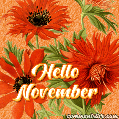 November Hello picture