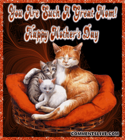 Such A Great Mom Cats picture