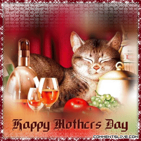 Mothers Day Cat picture