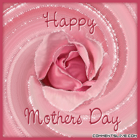 Mothers Day Pink Rose picture