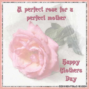 Perfect Rose Mother picture