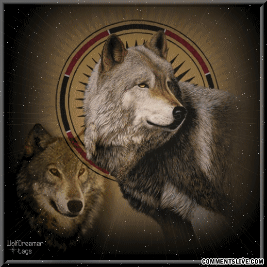 Native Wolf picture