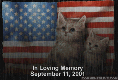 Cat Loving Memory picture
