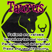 Taurus Picture