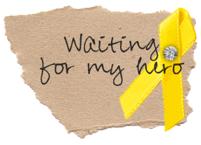 Waiting For Hero Picture