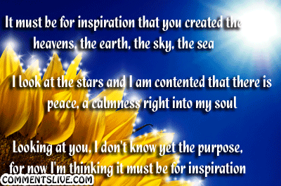 Inspiration Picture