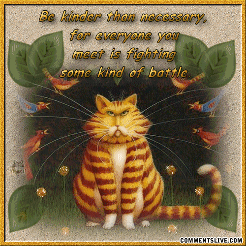 Kinder Than Necessary Picture