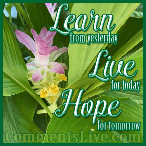 Learn Live Hope picture