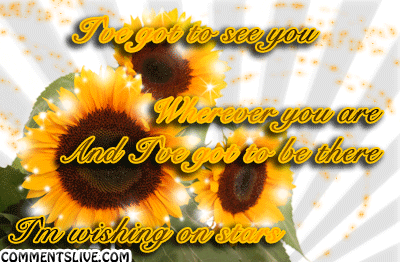 Wherever You Are Picture