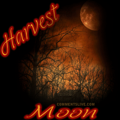 A Harvest Moon picture