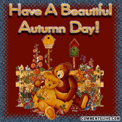 Bears Autumn Day picture
