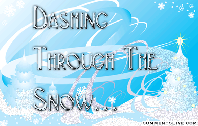 Dashing Through The Snow picture