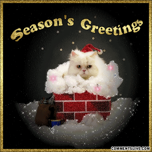 Seasons Greetings Cat picture