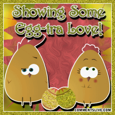 Showing Love Chickens Eggs Picture