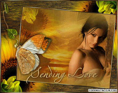 Sunflower Love Picture