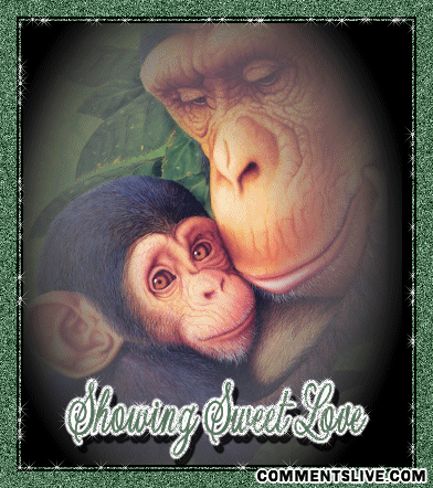 Sweet Monkey Love Picture
