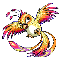 Bird Picture