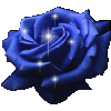 Blue Rose Picture
