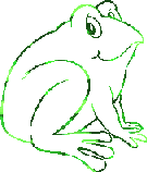 Green Frog Picture