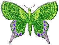 Green Glitter Butterfly Picture