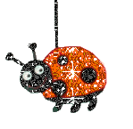 Ladybug Picture