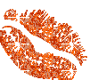 Orange Lips Picture