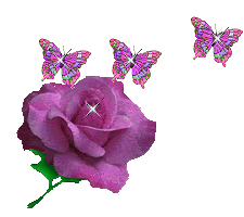 Rose Butterflies Picture
