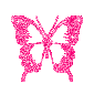 Tiny Pink Butterfly picture