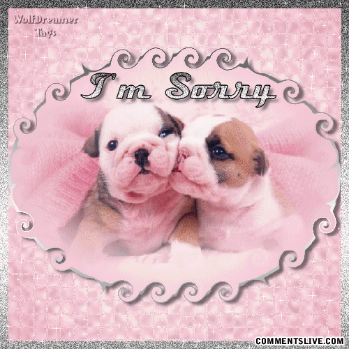Im Sorry Puppies Picture