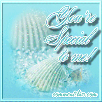Special Sea Shells picture