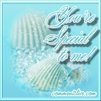Special Sea Shells Picture