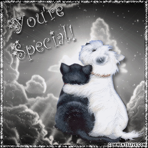 You Arespecial Cat Dog Picture