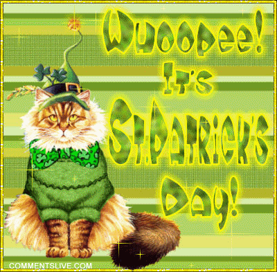 Whoopee St Pat Cat picture