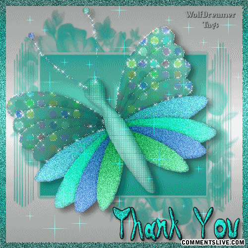 Dragon Fly Thank You Picture