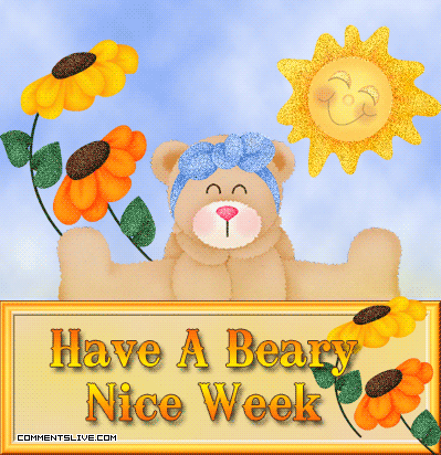 Nice Week Beary Picture