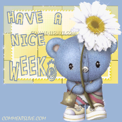 Week Blue Bear Picture