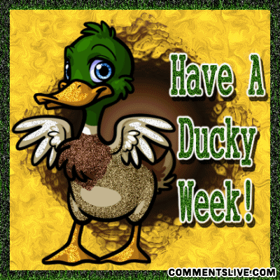 Week Ducky Picture
