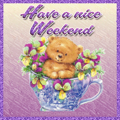 Bear Purple Flowers Picture