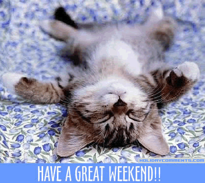 Cat Relaxing Picture